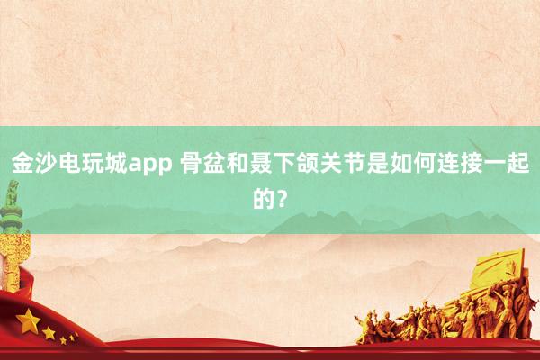 金沙電玩城app 骨盆和聶下頜關節(jié)是如何連接一起的？