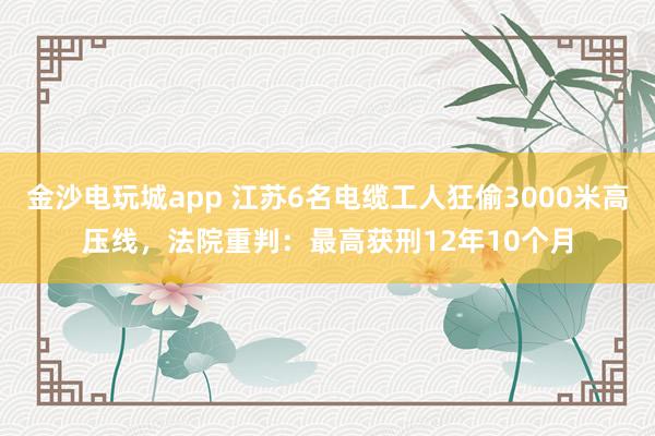 金沙電玩城app 江蘇6名電纜工人狂偷3000米高壓線，法院重判：最高獲刑12年10個月