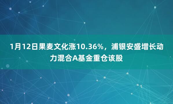 1月12日果麥文化漲10.36%，浦銀安盛增長(zhǎng)動(dòng)力混合A基金重倉(cāng)該股