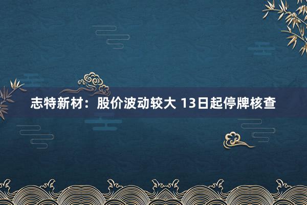 志特新材：股價波動較大 13日起停牌核查