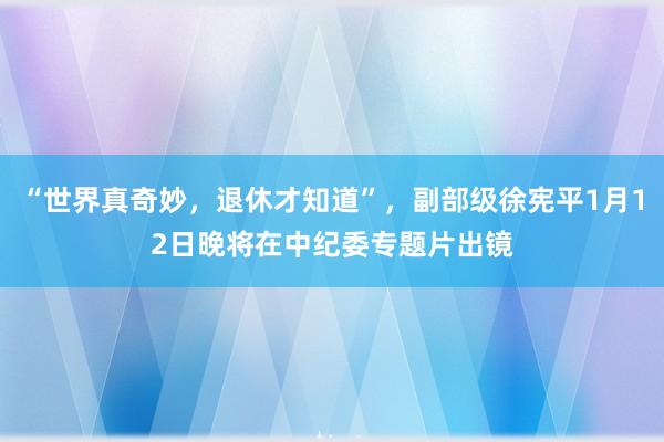 “世界真奇妙，退休才知道”，副部級徐憲平1月12日晚將在中紀委專題片出鏡