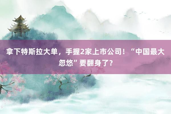 拿下特斯拉大單，手握2家上市公司！“中國最大忽悠”要翻身了？