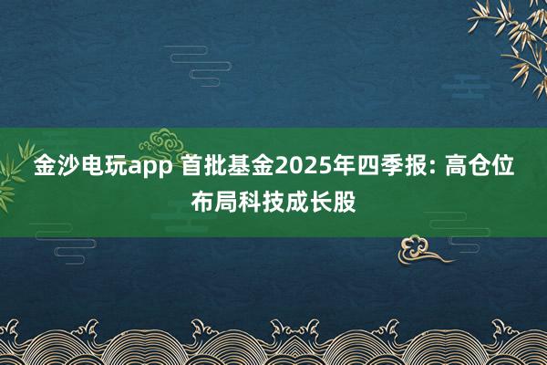 金沙電玩app 首批基金2025年四季報(bào): 高倉位布局科技成長股