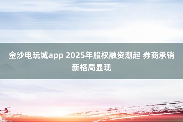 金沙電玩城app 2025年股權(quán)融資潮起 券商承銷新格局顯現(xiàn)