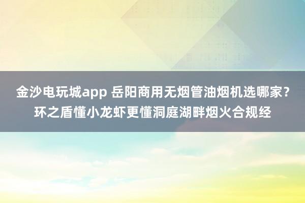 金沙電玩城app 岳陽商用無煙管油煙機選哪家?環之盾懂小龍蝦更懂洞庭湖畔煙火合規經