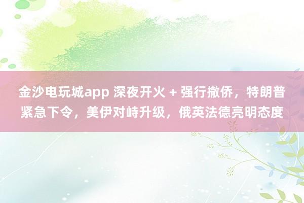 金沙電玩城app 深夜開火 + 強行撤僑，特朗普緊急下令，美伊對峙升級，俄英法德亮明態度