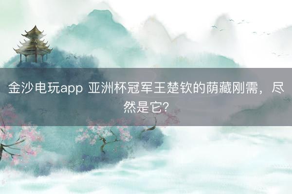 金沙電玩app 亞洲杯冠軍王楚欽的蔭藏剛需，盡然是它？