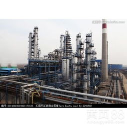 上海化工產業 轉型升級與可持續發展